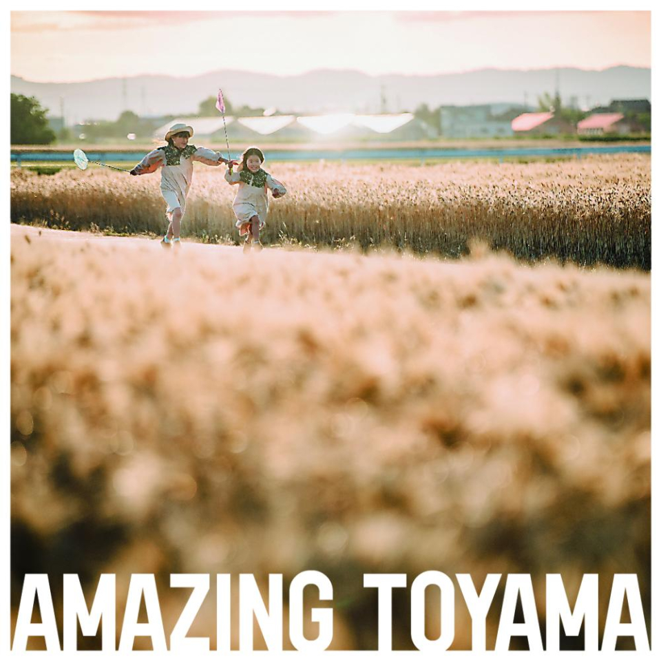 元気に走りまわっていた頃、
まいにちが、いつも新しかった。