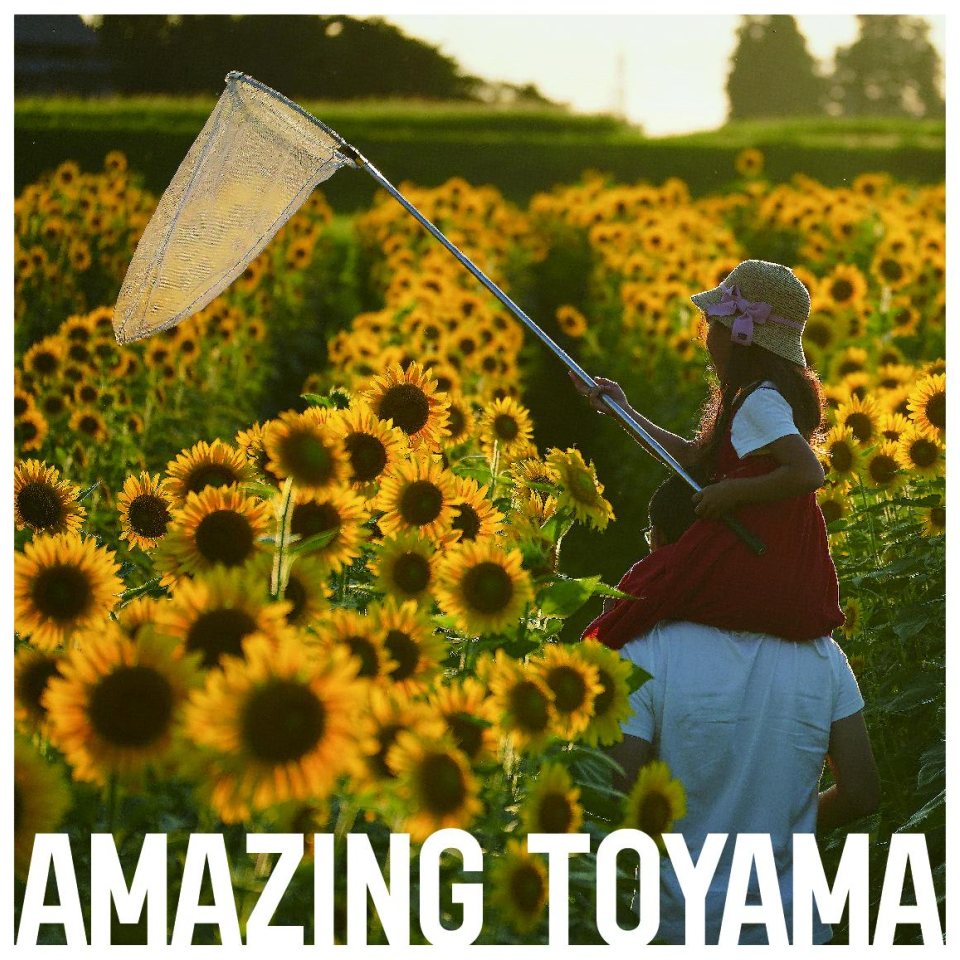 トンボは逃してしまったけど、
肩ぐるまの優しさは覚えています。