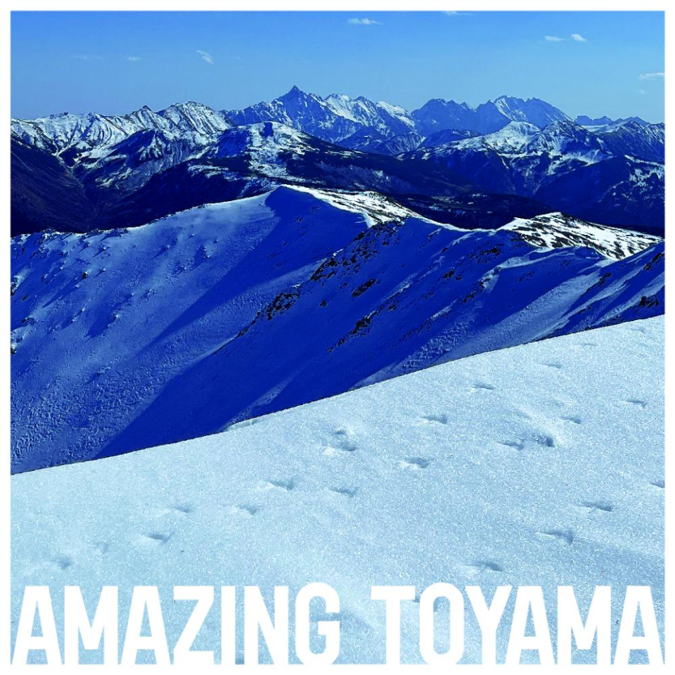 生きものの足跡を見つけると、
なぜか温かな気持ちになります。