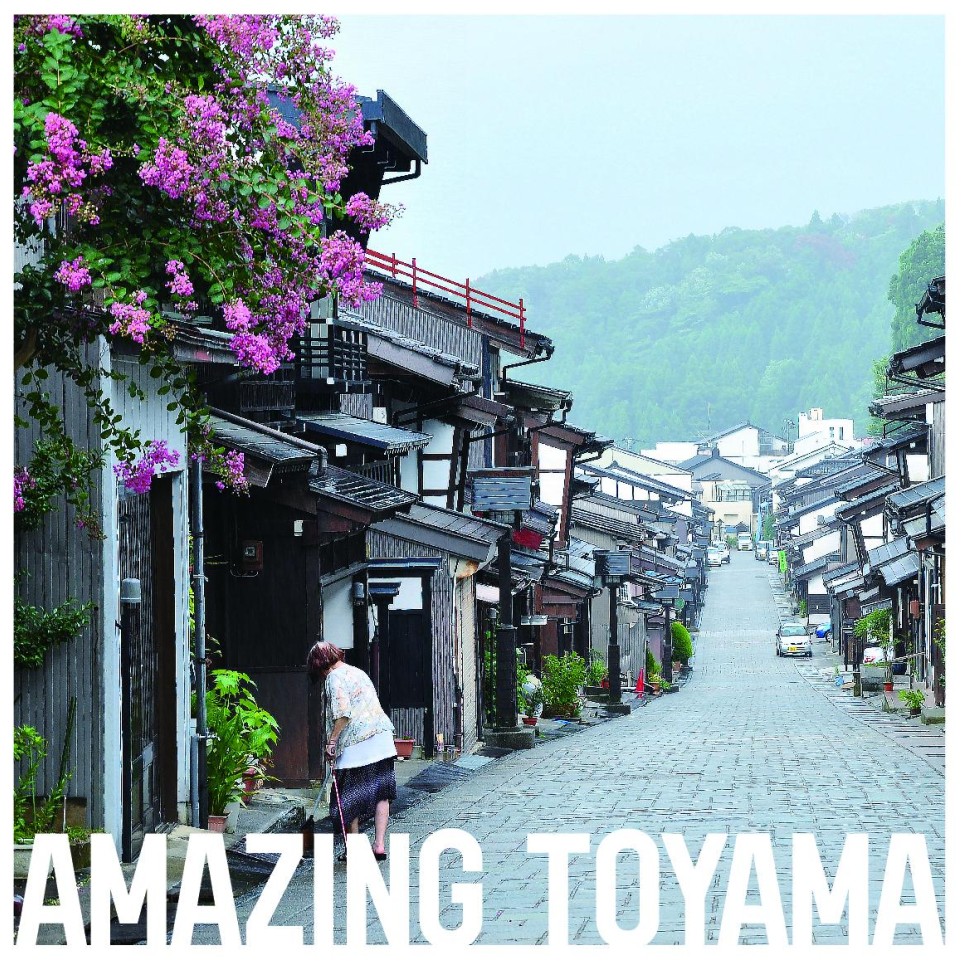 はい、365日、散歩します。
まいにち、小さな発見がありますよ。