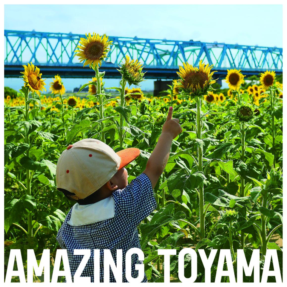 一輪でもきれいだけど、
みんな咲いたら、もっと元気になれる。