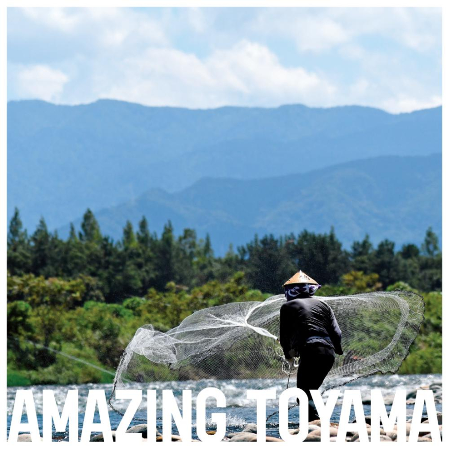 音もなく近づき、素早く投げる。
これぞ忍びの極意なり。