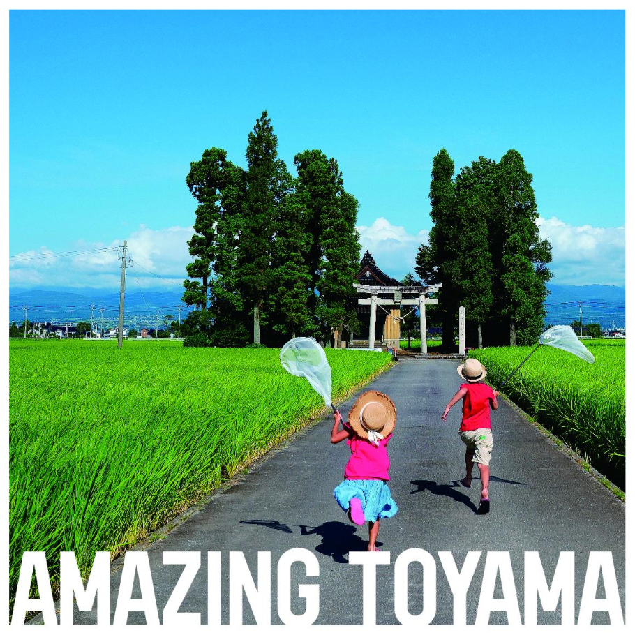 二人とも虫は捕れなかったけど、
たくさんの思い出が捕れました。