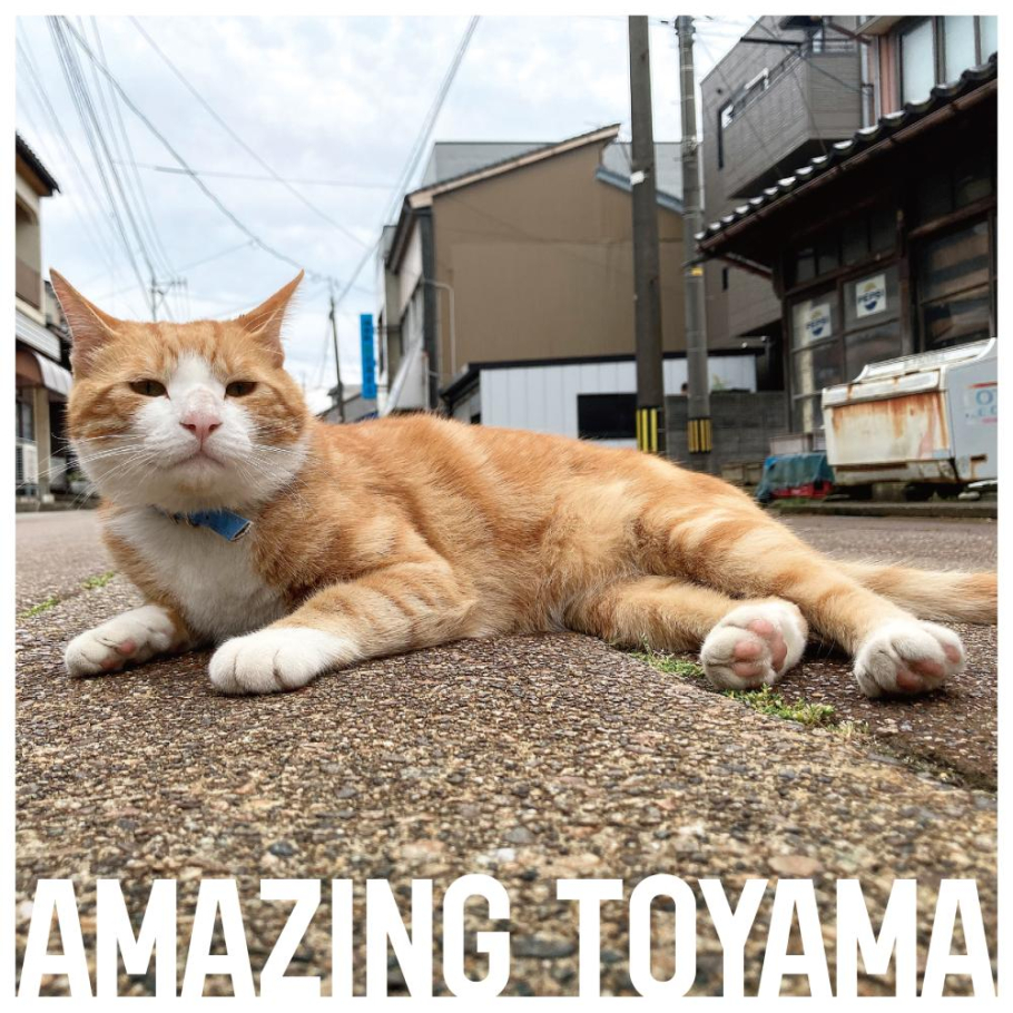 ここからは通行止めです。
いま、我々の集会が始まります。