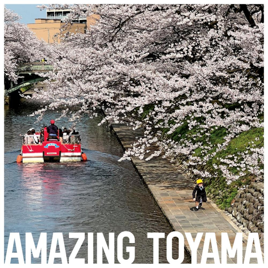 老後の初デートは松川遊覧船、
と、ひそかに決めています。