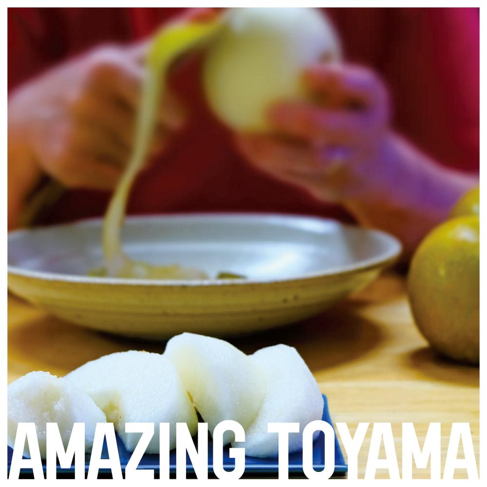  amazing toyama amazing toyama