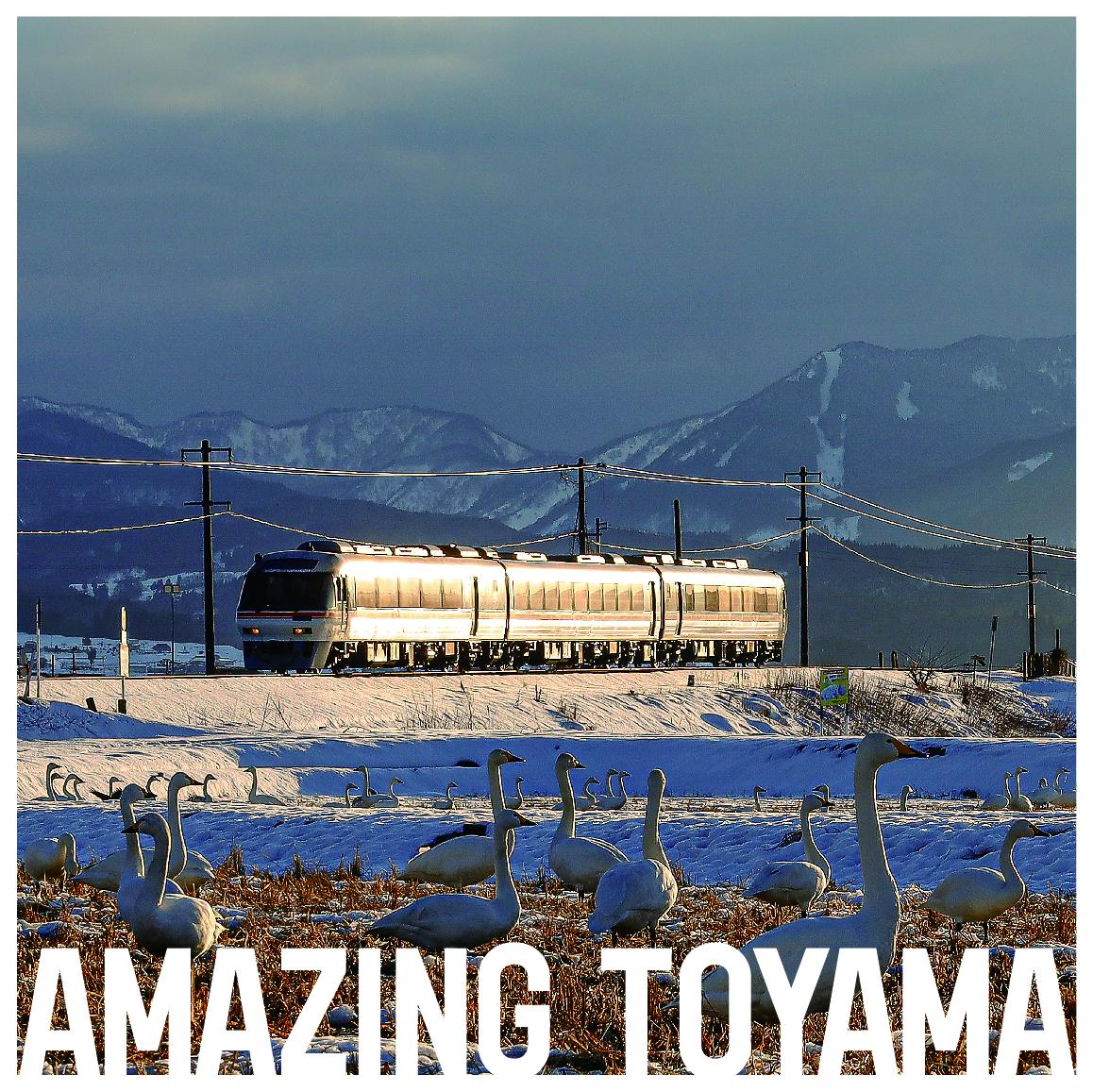 冬 #婦中地域 | AMAZING TOYAMA ポスターAMAZING TOYAMA