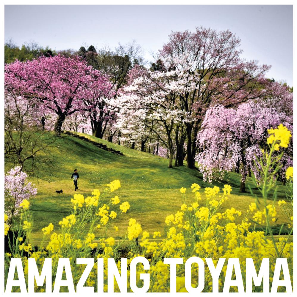  amazing toyama amazing toyama
